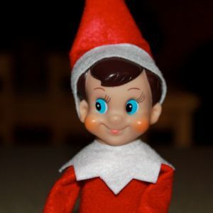 Meet your Posher, Erika